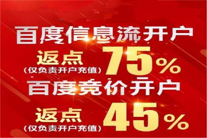 案例分析：百度推广效果优化技巧